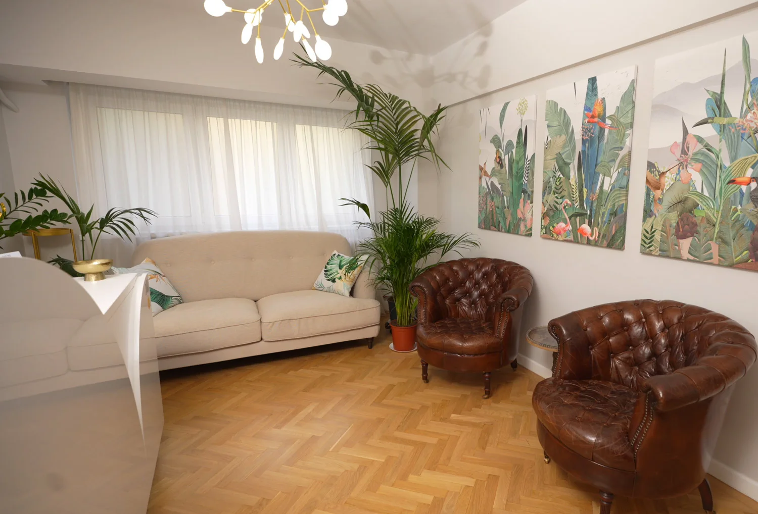 Recepția Majestic Massage
